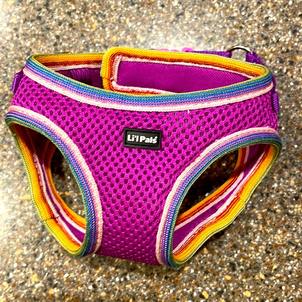 My lil pup outgrew this! It’s adorable & I love the Velcro and little clip!